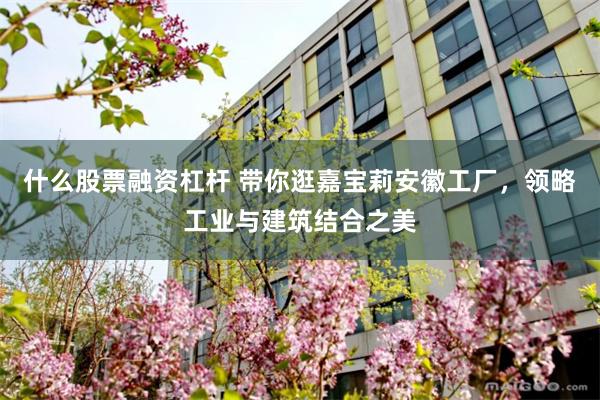 什么股票融资杠杆 带你逛嘉宝莉安徽工厂，领略工业与建筑结合之美