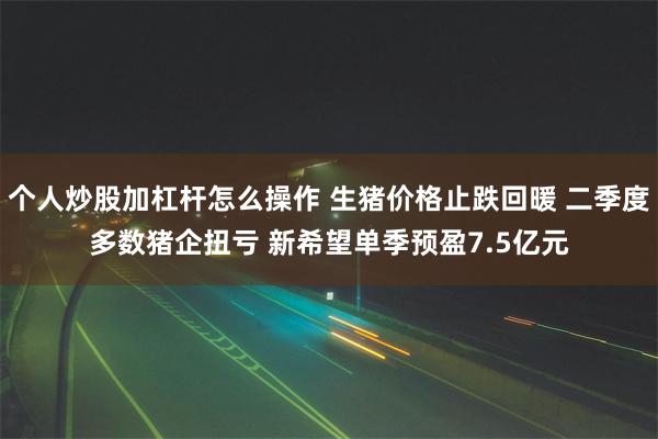 个人炒股加杠杆怎么操作 生猪价格止跌回暖 二季度多数猪企扭亏 新希望单季预盈7.5亿元