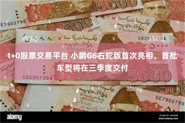 t+0股票交易平台 小鹏G6右舵版首次亮相，首批车型将在三季度交付