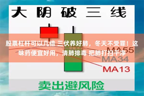 股票杠杆可以几倍 三伏养好肺，冬天不受罪！这味药便宜好用，清肺排毒 把肺打扫干净