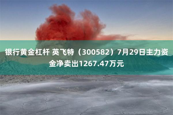 银行黄金杠杆 英飞特（300582）7月29日主力资金净卖出1267.47万元