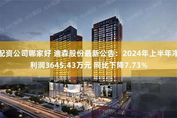 配资公司哪家好 迪森股份最新公告：2024年上半年净利润3645.43万元 同比下降7.73%