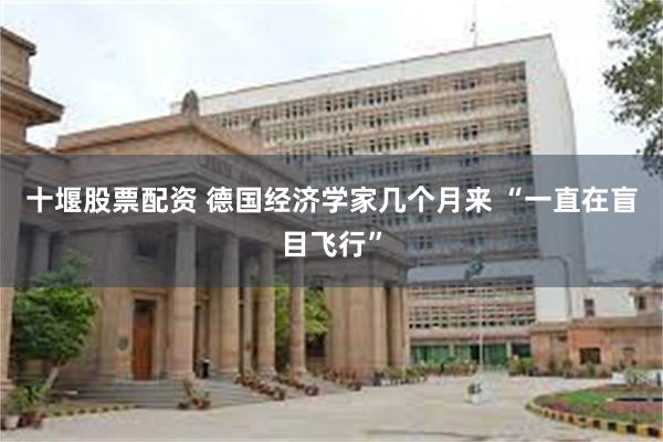 十堰股票配资 德国经济学家几个月来 “一直在盲目飞行”