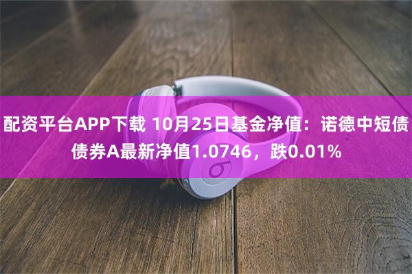 配资平台APP下载 10月25日基金净值：诺德中短债债券A最新净值1.0746，跌0.01%