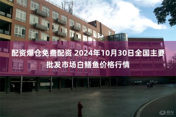 配资爆仓免费配资 2024年10月30日全国主要批发市场白鳝鱼价格行情