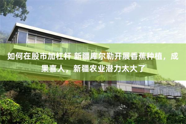 如何在股市加杠杆 新疆库尔勒开展香蕉种植，成果喜人，新疆农业潜力太大了