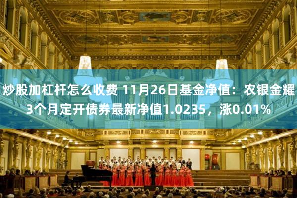 炒股加杠杆怎么收费 11月26日基金净值：农银金耀3个月定开债券最新净值1.0235，涨0.01%