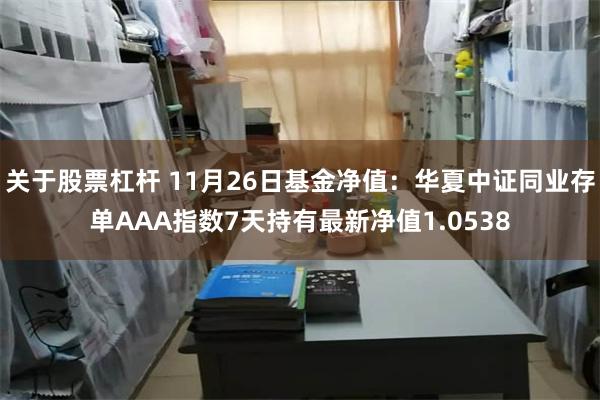 关于股票杠杆 11月26日基金净值：华夏中证同业存单AAA指数7天持有最新净值1.0538