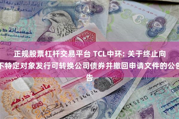 正规股票杠杆交易平台 TCL中环: 关于终止向不特定对象发行可转换公司债券并撤回申请文件的公告