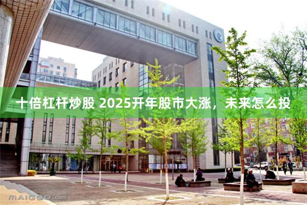 十倍杠杆炒股 2025开年股市大涨，未来怎么投