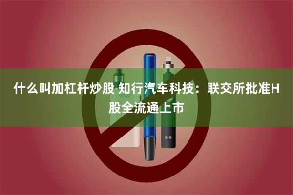 什么叫加杠杆炒股 知行汽车科技：联交所批准H股全流通上市